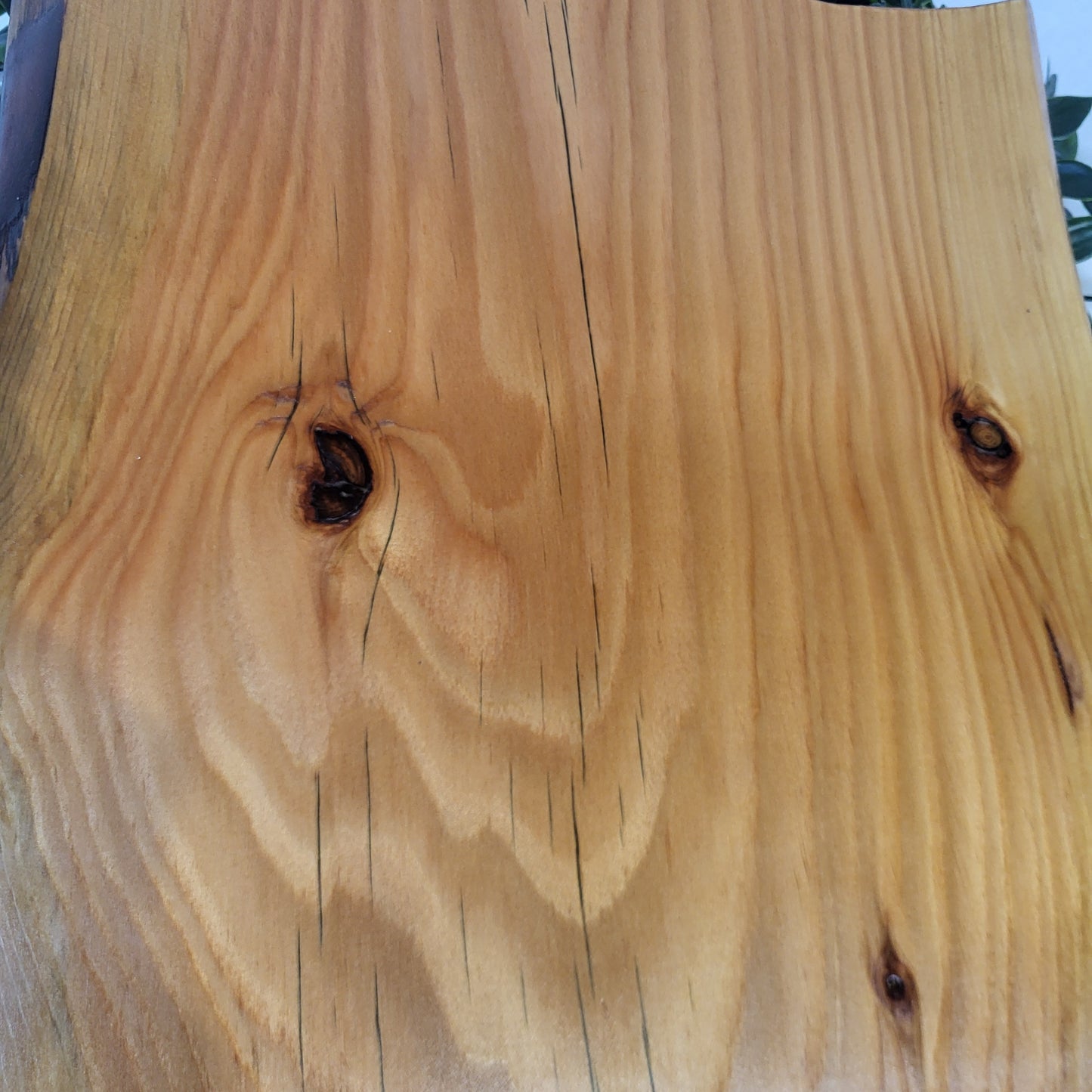 Live Edge Board - Medium